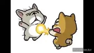 Johnny Tomsik- Dog Fight