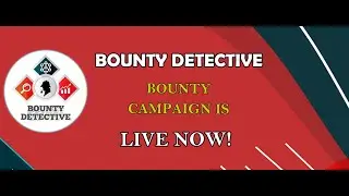 Bounty Detective - команда профессионалов в баунти компаниях