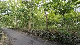 Dijual tanah strategis 100m jalan raya cocok untuk tempat tinggal kota wonosari ✅
