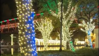 Christmas lights @ The Woodlands