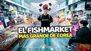 🇰🇷 VISTANDO EL MERCADO DE PESCADOS Y MARISCOS MÁS GRANDE DE COREA “JAGALCHI FISH MARKET” BUSAN