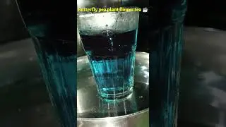 #Healthy & Natural blue tea Making☕