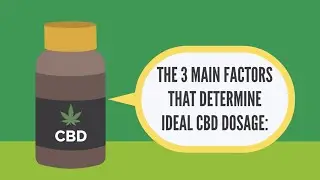 CBD Oil Dosage Guide: How Much CBD Oil Should I Take?