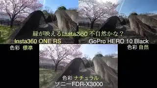 【折畳み小径車】ビデオ3機種の走行同時撮影（Insta360 ONE RS,GoPro HERO10 Black,Sony FDR-X3000）