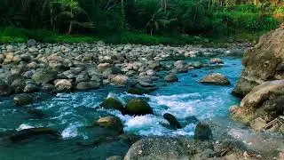 Babbling Brook Vibes for Sound Sleep, Mindfulness