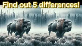 | muskox in the mountain | 99% can't find all differences!