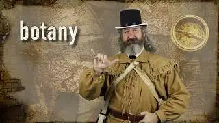 Botany Vocabulary
