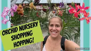Orchid nursery hopping shopping! Part 1 RF. Best Nursery in town!