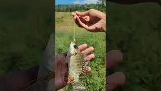 mancing di danau bekas galian tambang, ikannya melimpah