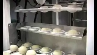 POLKA ltd full auto flat / pita bread line / machines since1957