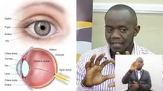 Visual Health and Parts of the Eye x264 002
