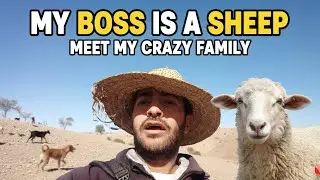🏆 My Boss is a Sheep: Meet My Crazy Family