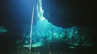 Marico Oog