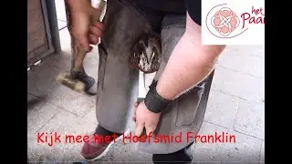 Kijk mee met hoefsmid Franklin