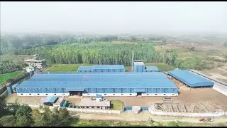 How do we do it? TPLUS Plywood's Manufacturing Process