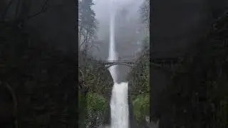 so beautiful #pnw #oregon #moving #lifestyle #nature #freshstart