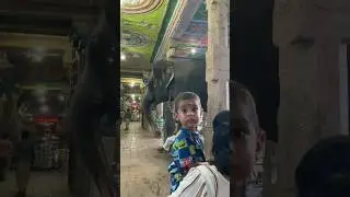 Adi Kumbeswarar Temple Kumbakonam, Tamil Nadu Meet the cute Elephant Anugraha. Hathi 🐘