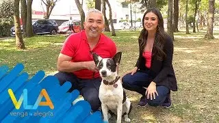 ¡Olga Mariana estuvo con César Millán! | Venga La Alegría