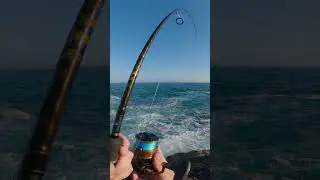 20g @malosilures marksman gets smashed on the drop, ended up in the rocks  #australia #fishing #fish