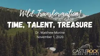 Wild Transformation: Time, Talent, Treasure - Dr. Matthew Morine - November 1, 2020