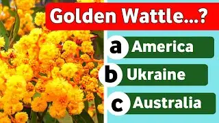 Australia Trivia QUIZ | Test Your General Knowledge 2025