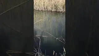 Люблю рыбалку   🎣