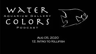 12. Intro to Killifish