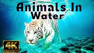 Amazing Real Animals in Water | Wildlife in Action#AnimalsInWater  #WildlifeInNature  #RealAnimals
