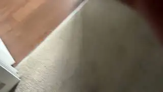 Zelda the cat