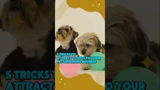 Grow Your Pet Grooming Biz 🐶 Simple Client Boosting Tricks #iOWN #SmallBusiness #Tips