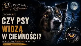Jakie kolory widzą psy, dlaczego psie oczy świecą w nocy i czy ubierać psy, odc. 7 (2/2026)
