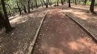 Прогулка по Мехико сити