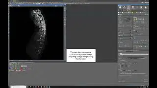 How to create a tiled (large) image of a sample with unusual shape in NIS elements (Nikon)
