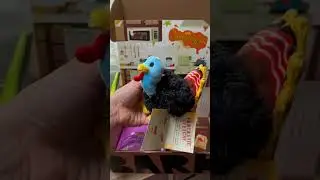 November BARK Box #doglover #dogs #dog #dogtreats #dogtoys #dogshorts #doglife #unboxing
