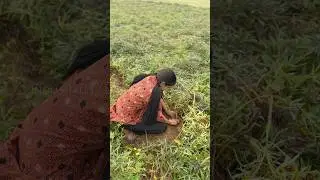 Day 3🍃✨ #rurallife  #tamilshorts #minivlog