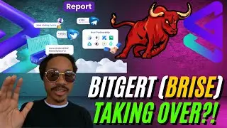 How Bitgert (BRISE) Crypto Is Taking Over DeFi