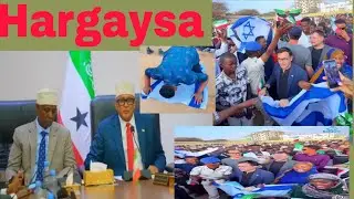 Hargaysa. Cirro oo Sheegay Wadamo Kale ayaa Na aqoonsan Maalma dhow. Dabaal dagii Galabta is.. Smlnd