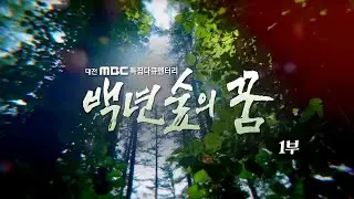 대전MBC 특집 다큐멘터리 백년 숲의 꿈 | 11월 20일