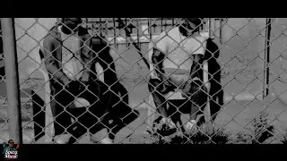 LanceVance-THUG LIFE (OFFICIAL-VIDEO) GTA V #roleplay #gta
