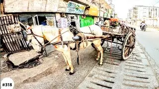 Walking In Kawari Road Quetta #EastWalks