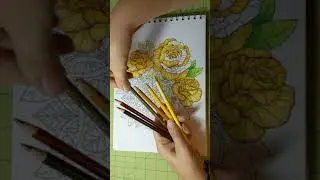 Colorya Mandalas Magical Nature blending colors