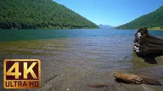 Coldwater Lake at Mt. St. Helens, USA in 4K (Ultra HD)  - Trailer