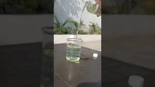 B100 Biodiesel