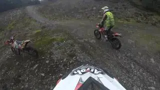 Brechfa Start