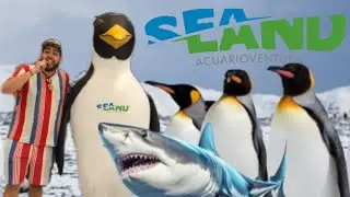 SEALAND MONTERREY 🌊, EL MEJOR ACUARIO CON PINGÜINOS 🐧RECORRIDO COMPLETO Y PRECIOS
