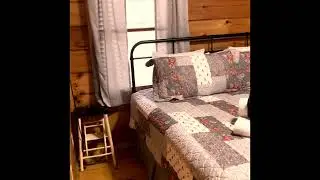 Dancing Bear Intro
