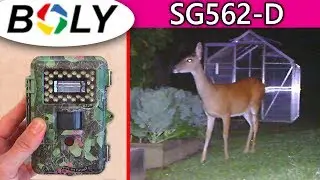 BOLY SG562-D Trail Camera REVIEW + Unboxing Hunting Cam Best u can buy top rated