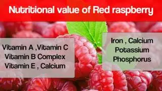 Red raspberry leaf tea for fertility