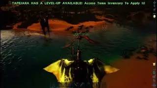 3 in 1 tame!