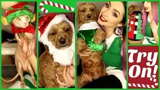 Dressing Up My Pets In CHRISTMAS OUTFITS!!!